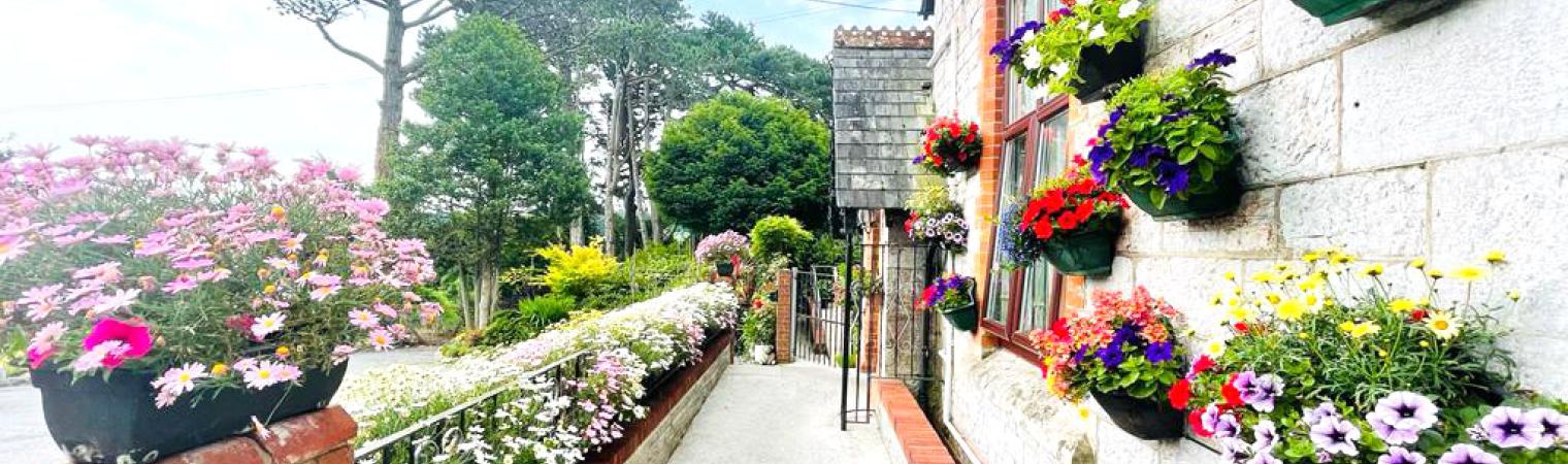 Plymbridge wheelchair ramp